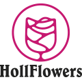 Hollflowers
